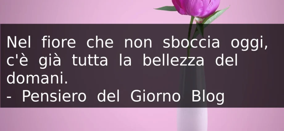 Frase del 13 luglio Nel fiore che non sboccia oggi c'è già tutta la bellezza del domani.